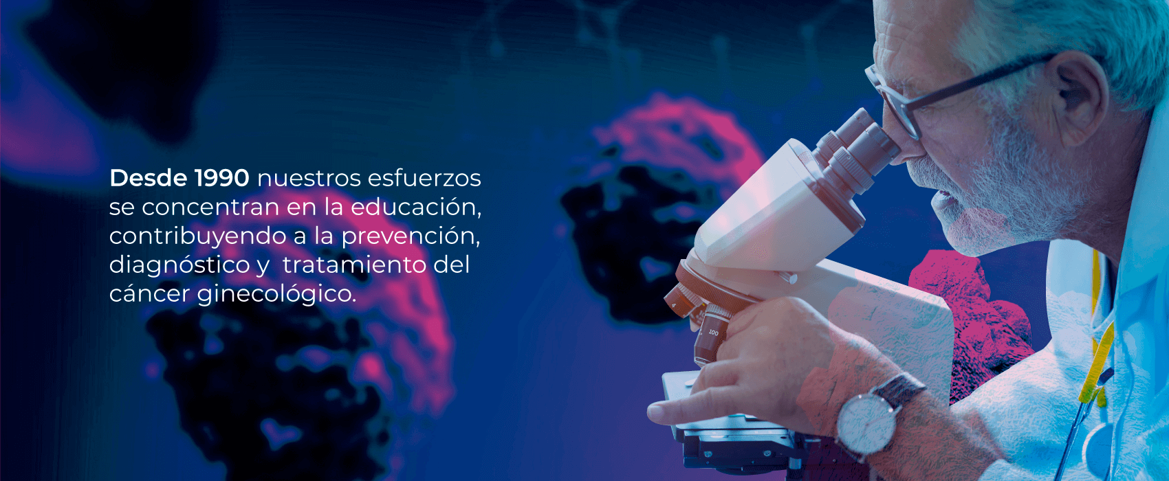 Asociacion Colombiana De Ginecologos Oncologos0