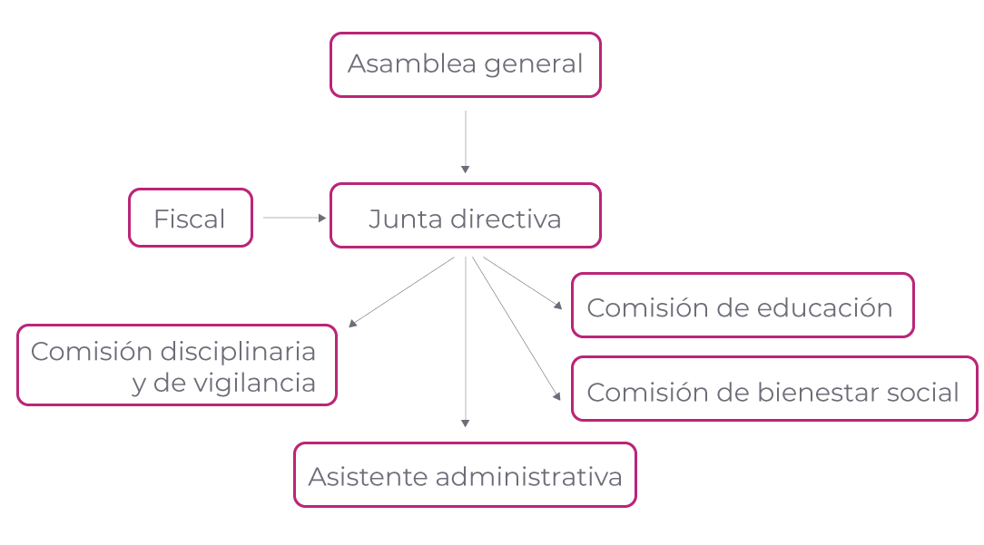 Organigrama